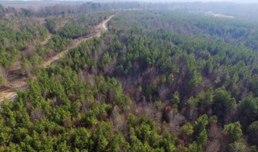 Photo of UNDER CONTRACT!  96 Acres of Recreational Land For Sale in Nottoway County VA!