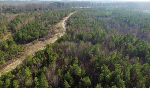 Photo of UNDER CONTRACT!  96 Acres of Recreational Land For Sale in Nottoway County VA!