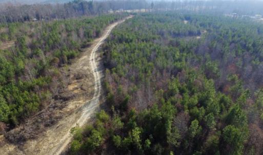 Photo of UNDER CONTRACT!  96 Acres of Recreational Land For Sale in Nottoway County VA!