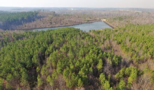 Photo of UNDER CONTRACT!  96 Acres of Recreational Land For Sale in Nottoway County VA!