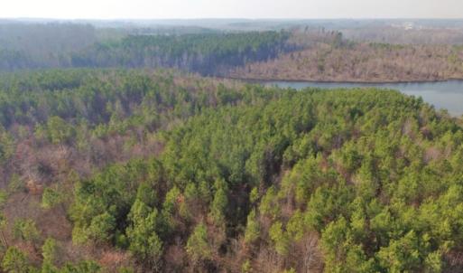Photo of UNDER CONTRACT!  96 Acres of Recreational Land For Sale in Nottoway County VA!