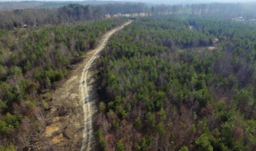 Photo of UNDER CONTRACT!  96 Acres of Recreational Land For Sale in Nottoway County VA!