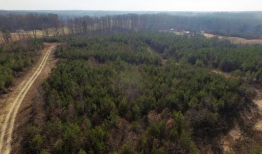 Photo of UNDER CONTRACT!  96 Acres of Recreational Land For Sale in Nottoway County VA!