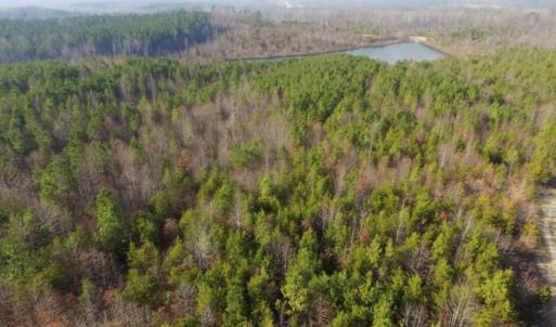 Photo of UNDER CONTRACT!  96 Acres of Recreational Land For Sale in Nottoway County VA!