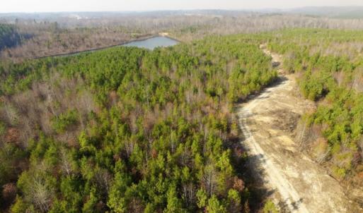 Photo of UNDER CONTRACT!  96 Acres of Recreational Land For Sale in Nottoway County VA!