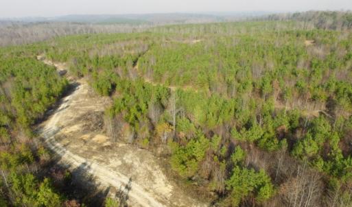 Photo of UNDER CONTRACT!  96 Acres of Recreational Land For Sale in Nottoway County VA!