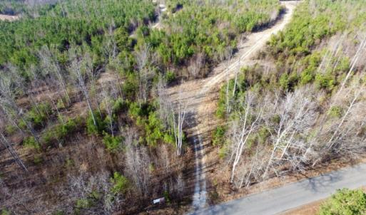 Photo of UNDER CONTRACT!  96 Acres of Recreational Land For Sale in Nottoway County VA!