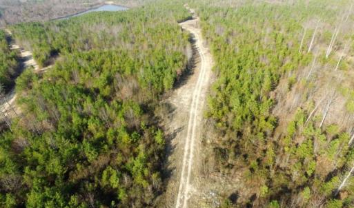 Photo of UNDER CONTRACT!  96 Acres of Recreational Land For Sale in Nottoway County VA!
