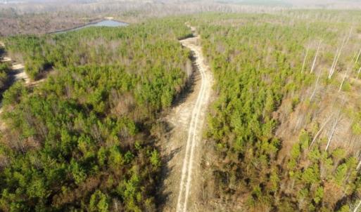 Photo of UNDER CONTRACT!  96 Acres of Recreational Land For Sale in Nottoway County VA!