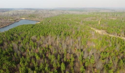 Photo of UNDER CONTRACT!  96 Acres of Recreational Land For Sale in Nottoway County VA!