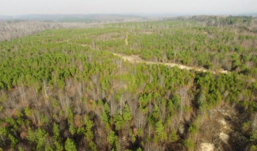Photo of UNDER CONTRACT!  96 Acres of Recreational Land For Sale in Nottoway County VA!