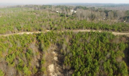 Photo of UNDER CONTRACT!  96 Acres of Recreational Land For Sale in Nottoway County VA!