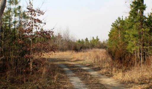 Photo of UNDER CONTRACT!  96 Acres of Recreational Land For Sale in Nottoway County VA!