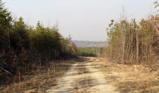 Photo of UNDER CONTRACT!  96 Acres of Recreational Land For Sale in Nottoway County VA!