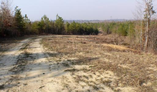 Photo of UNDER CONTRACT!  96 Acres of Recreational Land For Sale in Nottoway County VA!