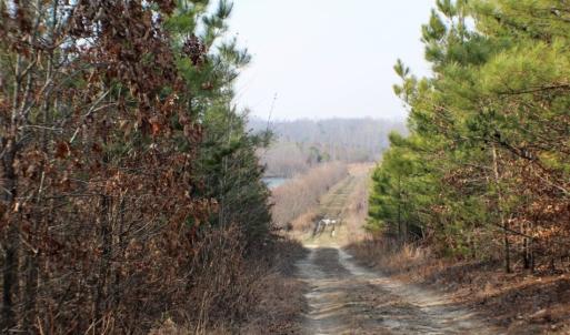 Photo of UNDER CONTRACT!  96 Acres of Recreational Land For Sale in Nottoway County VA!