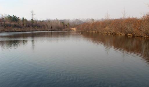 Photo of UNDER CONTRACT!  96 Acres of Recreational Land For Sale in Nottoway County VA!