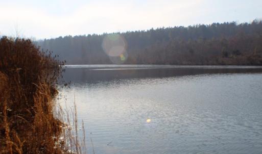 Photo of UNDER CONTRACT!  96 Acres of Recreational Land For Sale in Nottoway County VA!