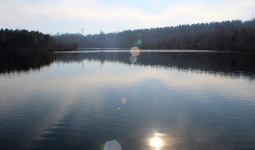 Photo of UNDER CONTRACT!  96 Acres of Recreational Land For Sale in Nottoway County VA!