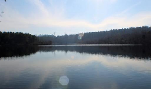 Photo of UNDER CONTRACT!  96 Acres of Recreational Land For Sale in Nottoway County VA!