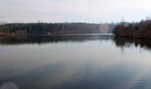 Photo of UNDER CONTRACT!  96 Acres of Recreational Land For Sale in Nottoway County VA!