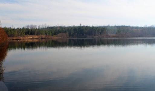Photo of UNDER CONTRACT!  96 Acres of Recreational Land For Sale in Nottoway County VA!