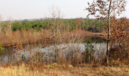 Photo of UNDER CONTRACT!  96 Acres of Recreational Land For Sale in Nottoway County VA!