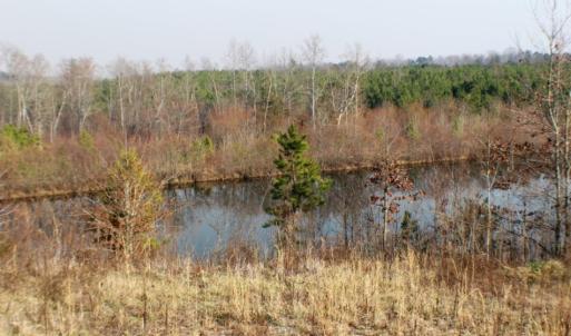 Photo of UNDER CONTRACT!  96 Acres of Recreational Land For Sale in Nottoway County VA!