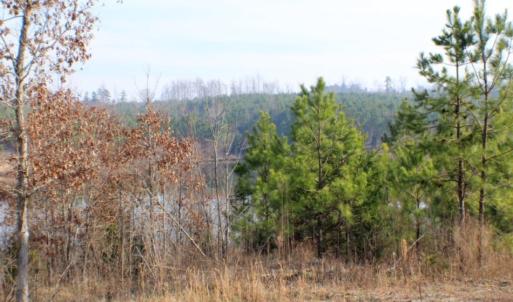 Photo of UNDER CONTRACT!  96 Acres of Recreational Land For Sale in Nottoway County VA!