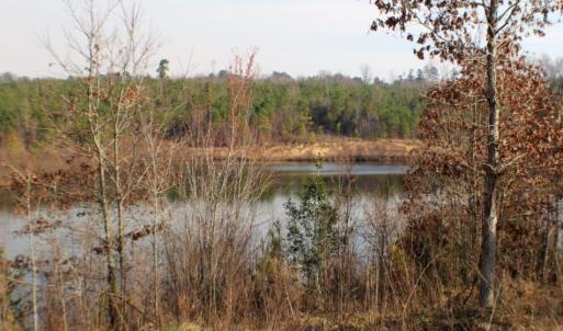 Photo of UNDER CONTRACT!  96 Acres of Recreational Land For Sale in Nottoway County VA!