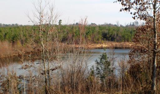 Photo of UNDER CONTRACT!  96 Acres of Recreational Land For Sale in Nottoway County VA!