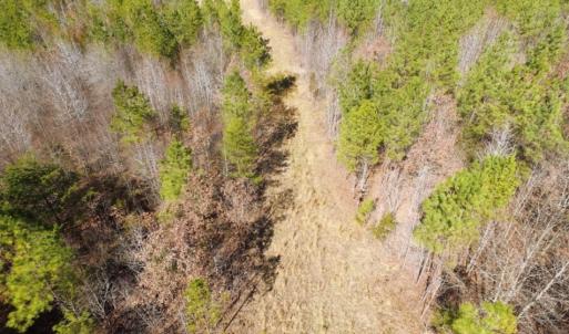Photo of UNDER CONTRACT!  15 acres of Recreational Land or Sale in Charlotte County VA!