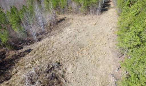 Photo of UNDER CONTRACT!  15 acres of Recreational Land or Sale in Charlotte County VA!