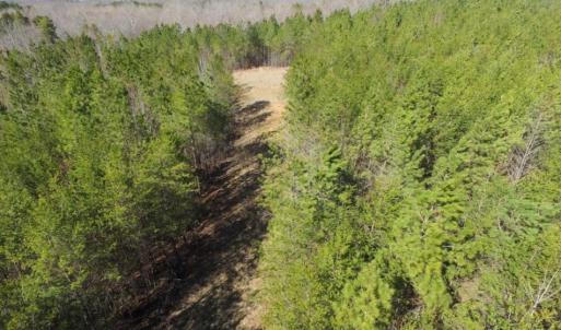 Photo of UNDER CONTRACT!  15 acres of Recreational Land or Sale in Charlotte County VA!