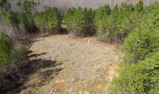 Photo of UNDER CONTRACT!  15 acres of Recreational Land or Sale in Charlotte County VA!