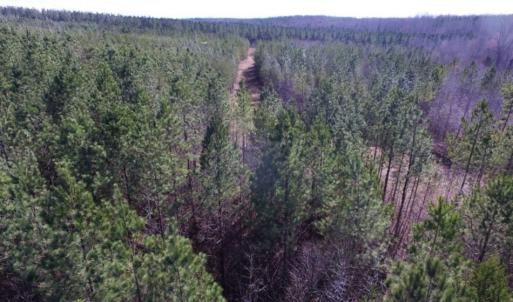 Photo of UNDER CONTRACT!  15 acres of Recreational Land or Sale in Charlotte County VA!