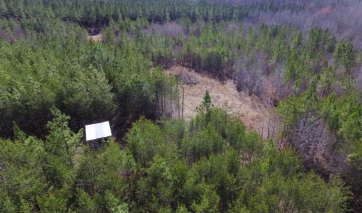 Photo of UNDER CONTRACT!  15 acres of Recreational Land or Sale in Charlotte County VA!