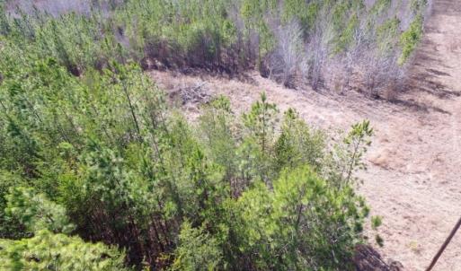Photo of UNDER CONTRACT!  15 acres of Recreational Land or Sale in Charlotte County VA!