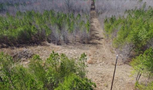 Photo of UNDER CONTRACT!  15 acres of Recreational Land or Sale in Charlotte County VA!