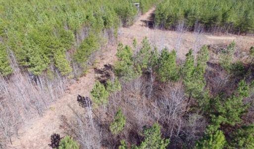 Photo of UNDER CONTRACT!  15 acres of Recreational Land or Sale in Charlotte County VA!