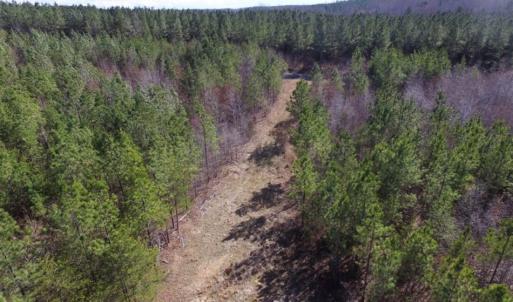 Photo of UNDER CONTRACT!  15 acres of Recreational Land or Sale in Charlotte County VA!