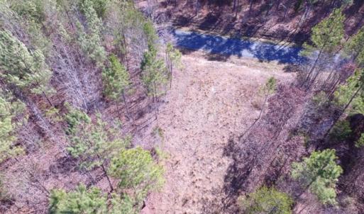 Photo of UNDER CONTRACT!  15 acres of Recreational Land or Sale in Charlotte County VA!