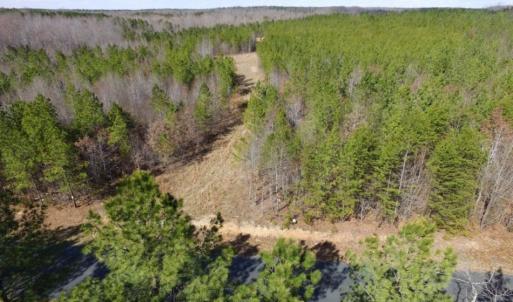 Photo of UNDER CONTRACT!  15 acres of Recreational Land or Sale in Charlotte County VA!