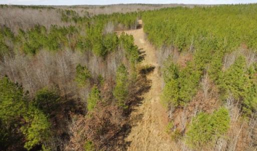 Photo of UNDER CONTRACT!  15 acres of Recreational Land or Sale in Charlotte County VA!