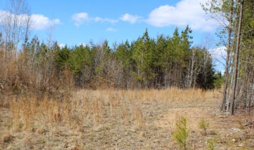 Photo of UNDER CONTRACT!  15 acres of Recreational Land or Sale in Charlotte County VA!