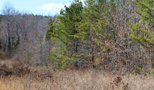Photo of UNDER CONTRACT!  15 acres of Recreational Land or Sale in Charlotte County VA!