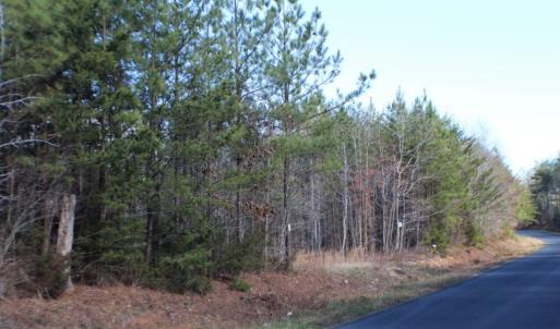 Photo of UNDER CONTRACT!  15 acres of Recreational Land or Sale in Charlotte County VA!