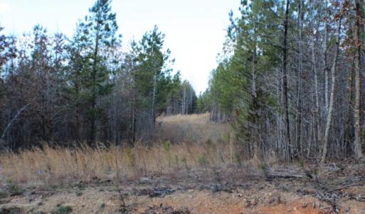 Photo of UNDER CONTRACT!  15 acres of Recreational Land or Sale in Charlotte County VA!