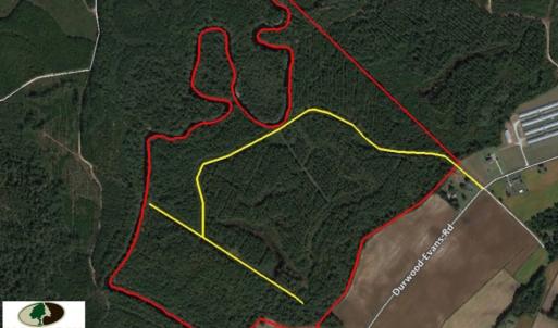 Photo of UNDER CONTRACT!  212 Acre Riverfront Hunting Land for Sale in Duplin County NC!