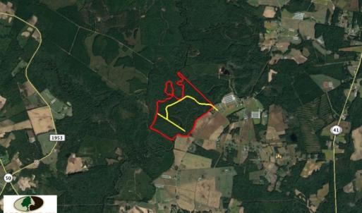 Photo of UNDER CONTRACT!  212 Acre Riverfront Hunting Land for Sale in Duplin County NC!